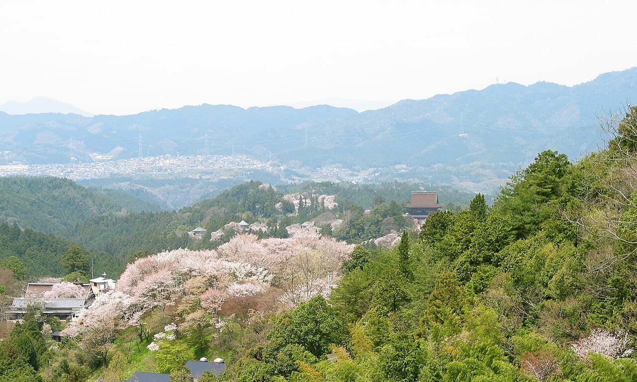 Mount Yoshino Cherry Blossoms (Yoshinoyama)