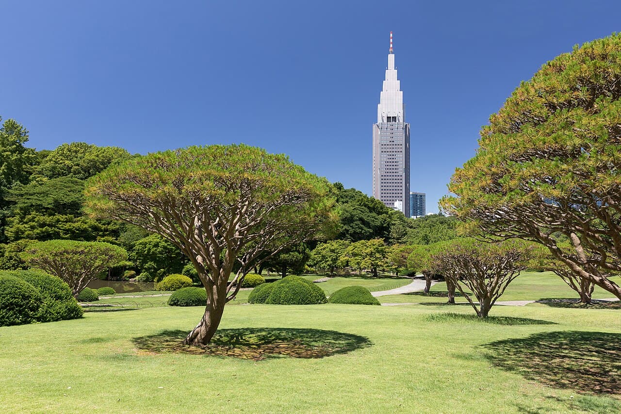 Green lawns of a Tokyo park near Yoyogi