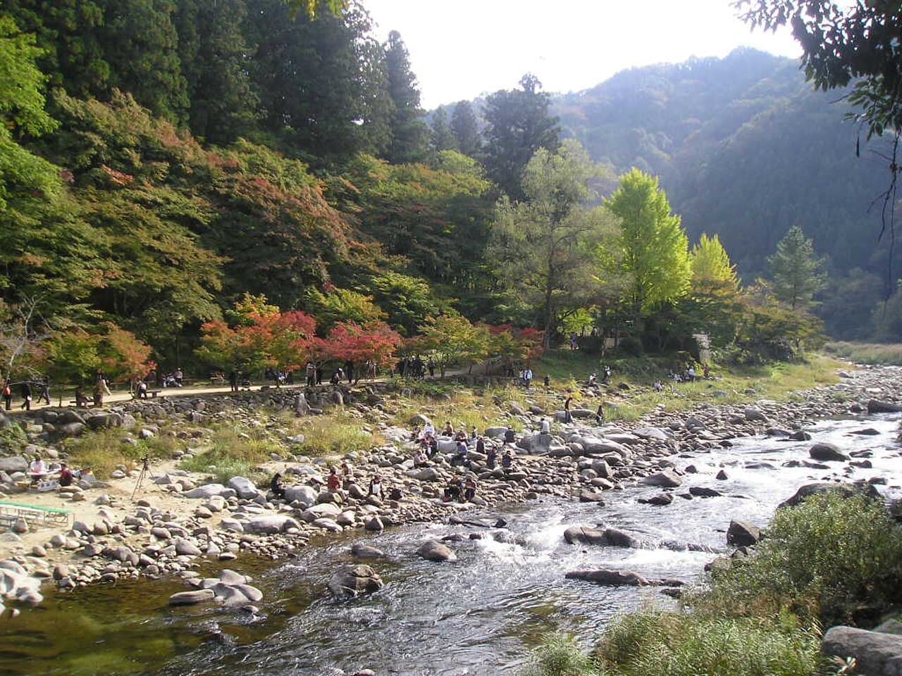 Korankei Valley Autumn Foliage (Momiji Festival)