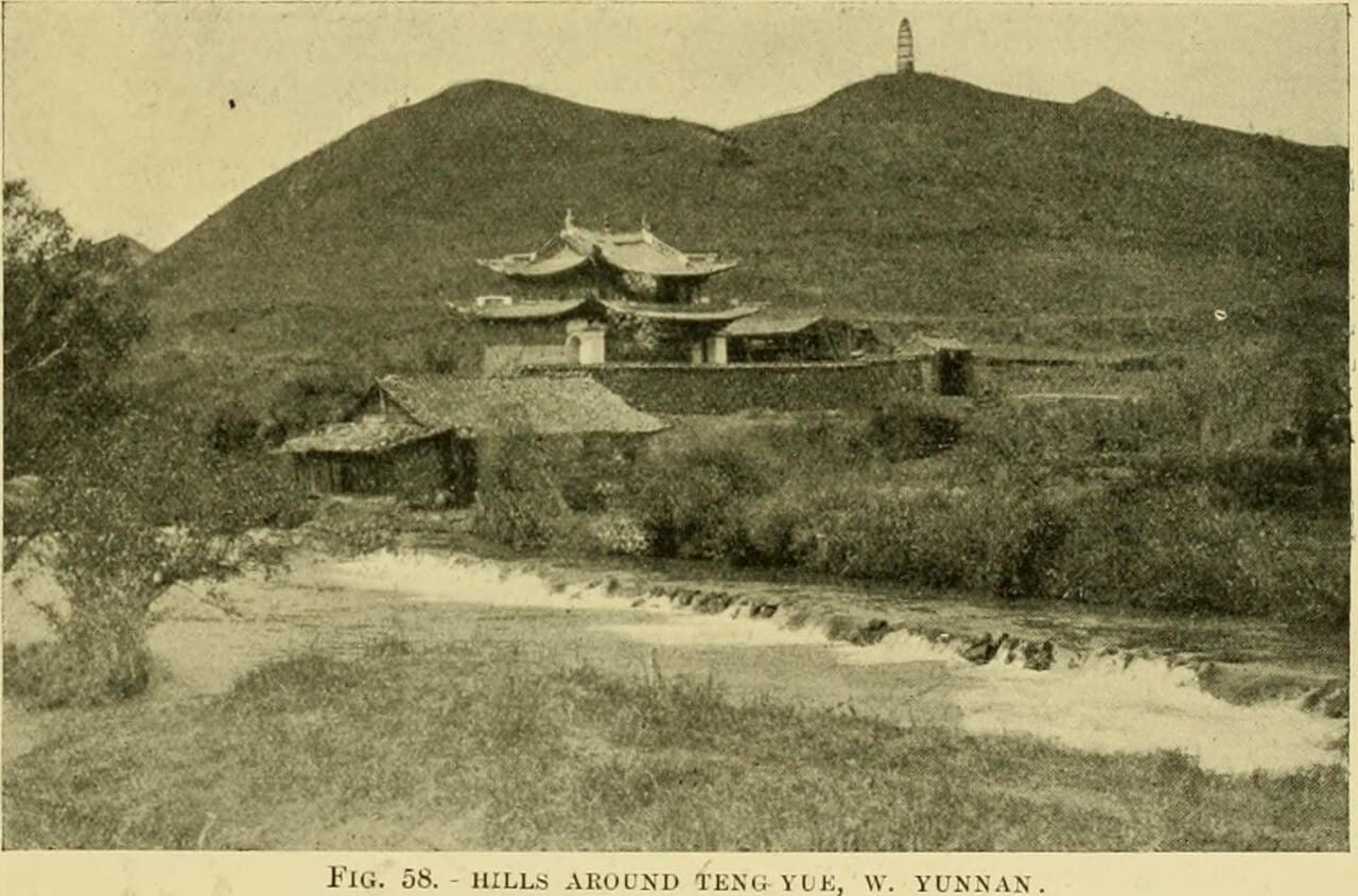 Hitachi Seaside Park Kochia (Autumn Red Bushes)