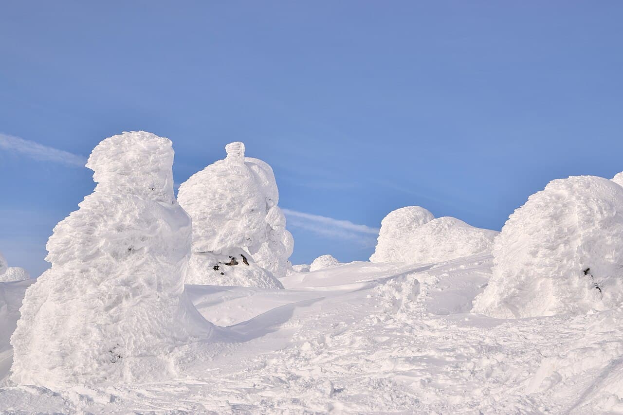 Zao Snow Monsters (Juhyo) Light-Up