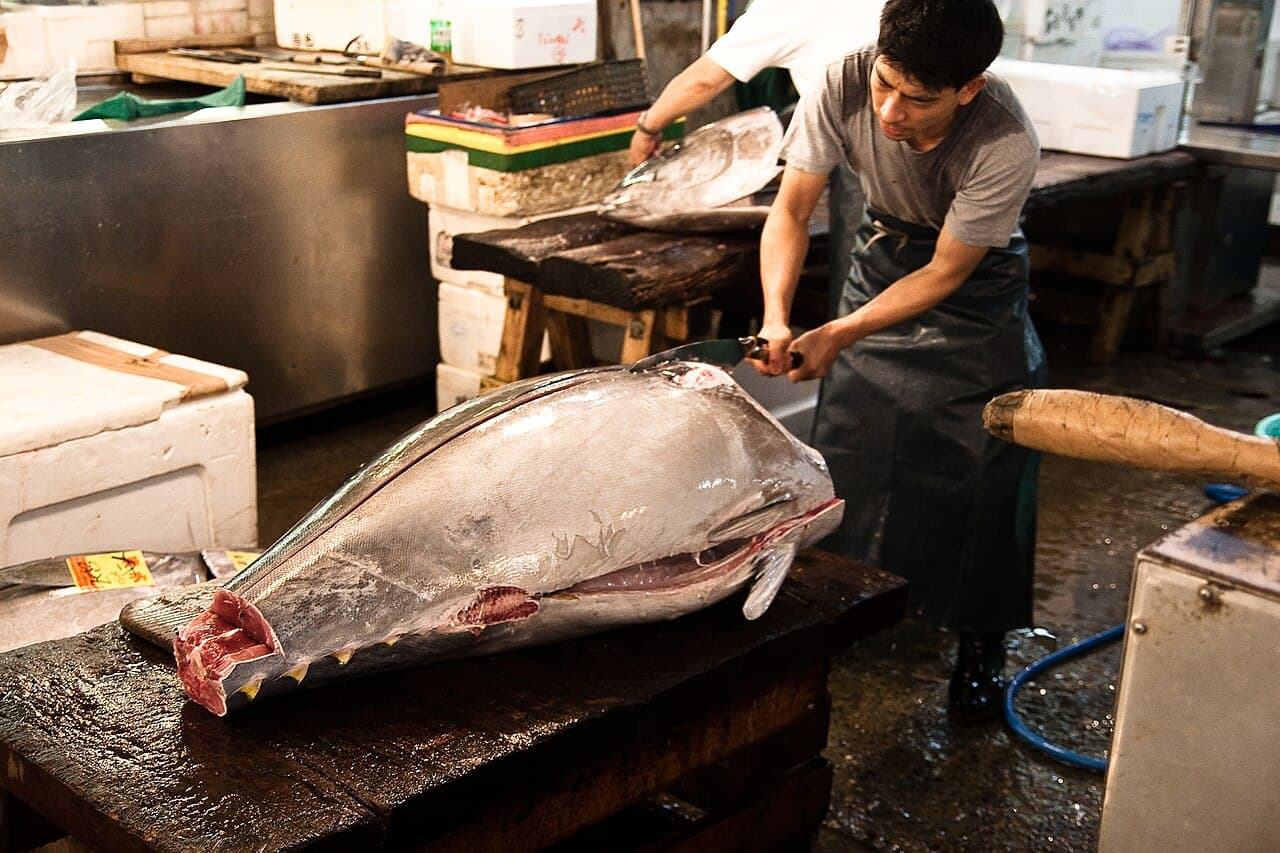Toyosu Market
