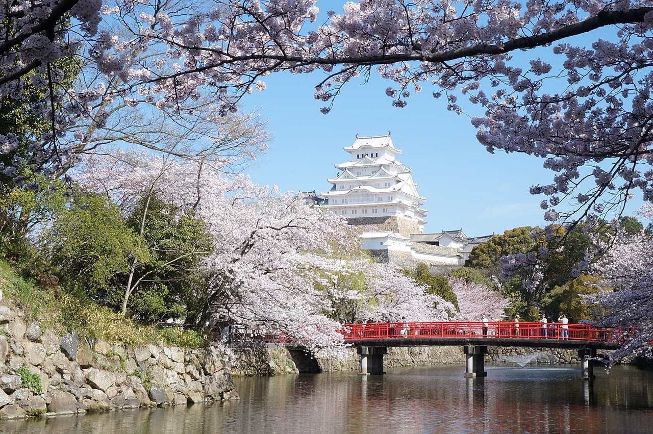 Himeji Castle Cherry Blossoms