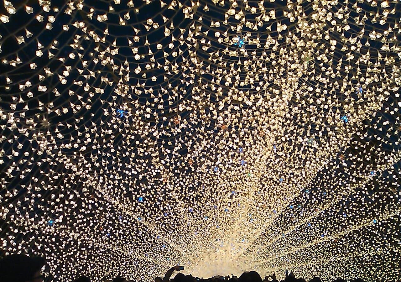 Winter LED illumination at Nabana no Sato, Mie Prefecture