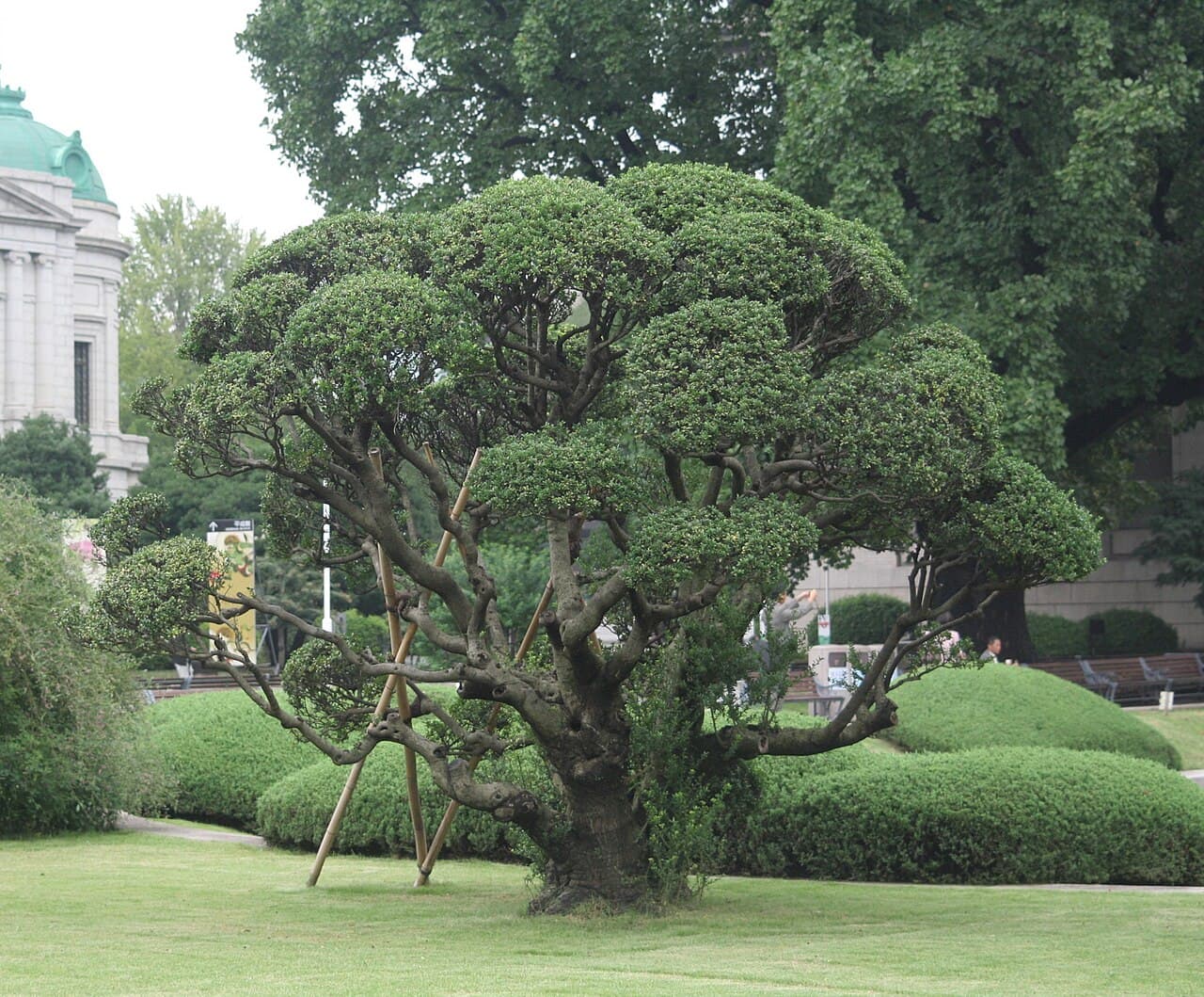 The main building and entrance garden of the Tokyo National Museum in Ueno Park