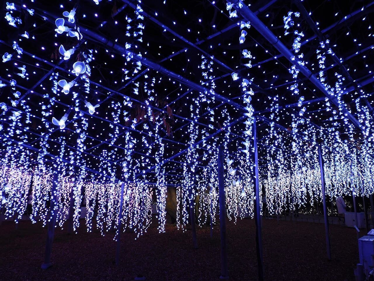 Ashikaga Flower Park: Flower Fantasy Winter Illumination