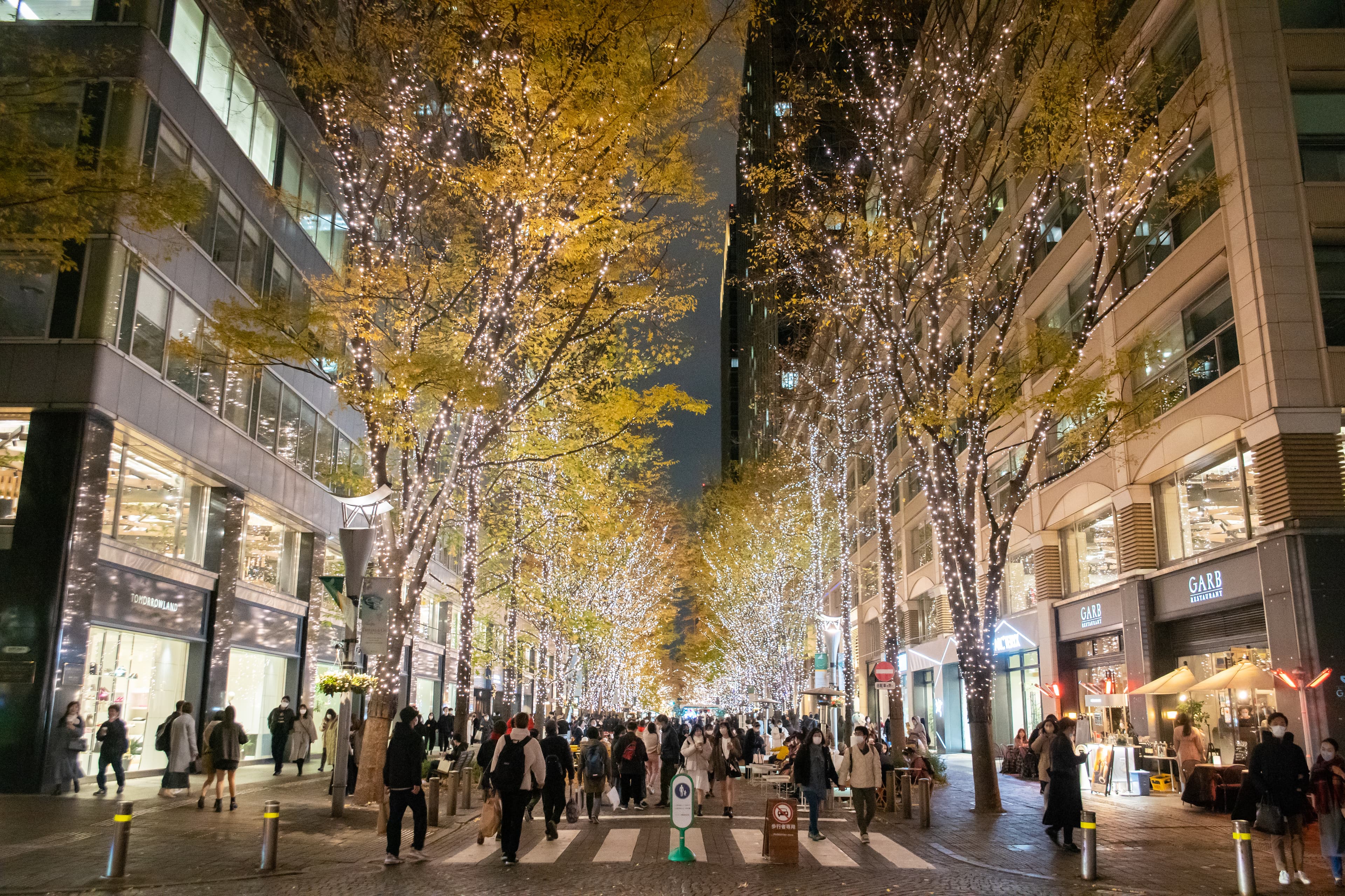 冬のイルミネーションに彩られた東京・丸の内仲通りの並木