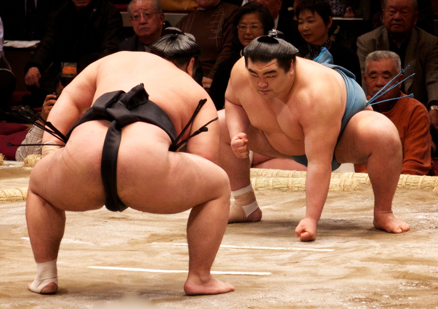 大相撲 九州場所(福岡)