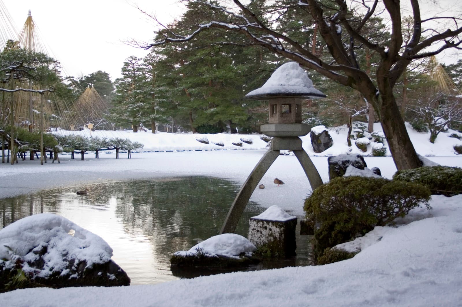 金沢・兼六園の雪吊りの松と石灯籠