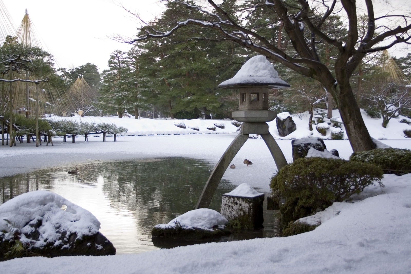 A stone lantern and snow-protected pine trees in Kenrokuen Garden, Kanazawa