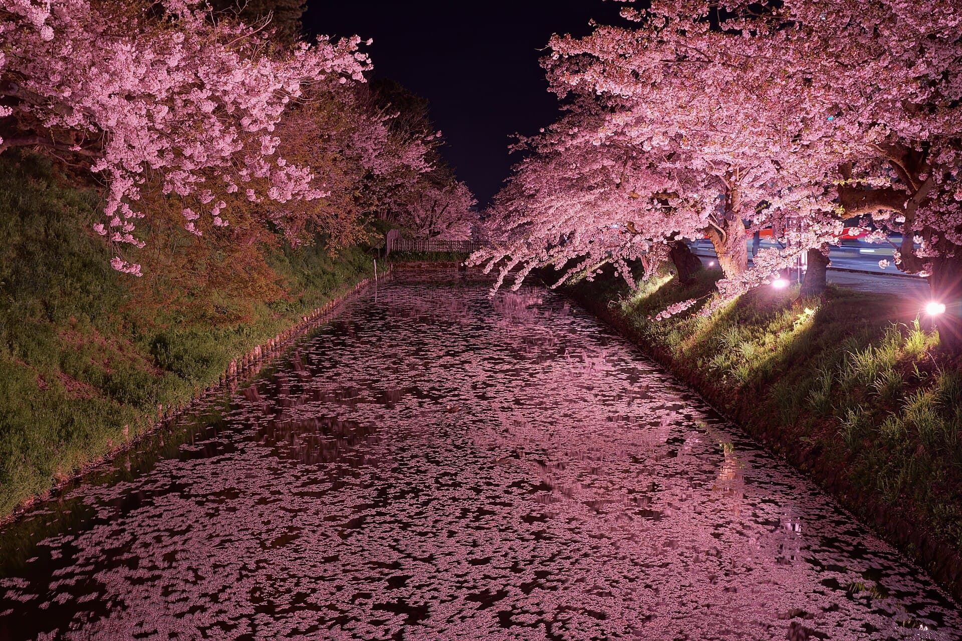Hirosaki Cherry Blossom Festival
